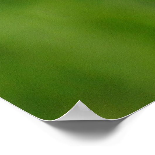 Monarch Butterfly Poster (Ecke)