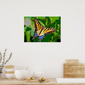 Monarch Butterfly Poster (Küche)