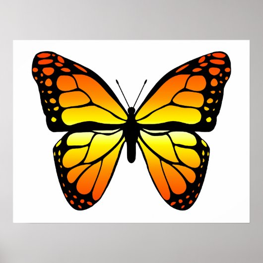 Monarch Butterfly Poster (Vorne)