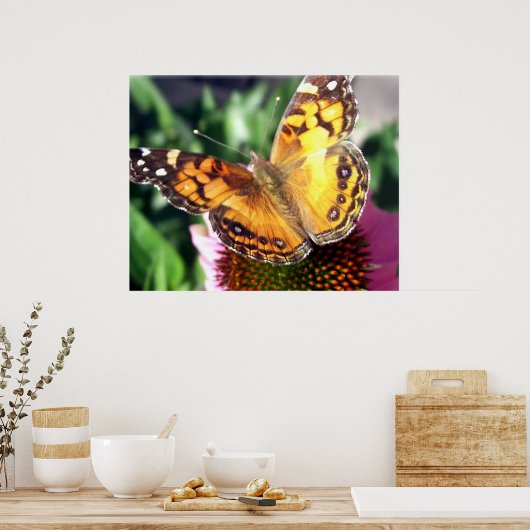 Monarch Butterfly Poster (Küche)