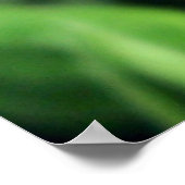 Monarch Butterfly Poster (Ecke)