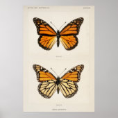 Monarch Butterfly Poster (Vorne)