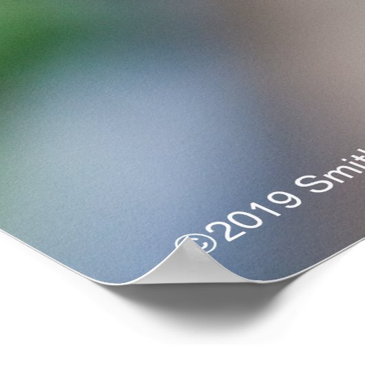 Monarch Butterfly Poster (Ecke)