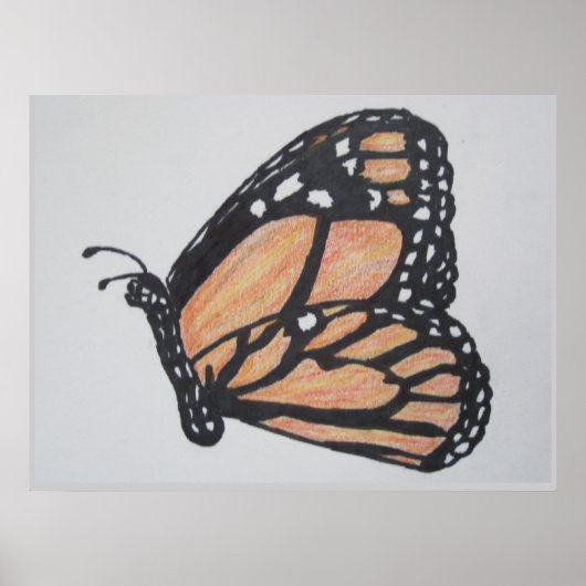 Monarch Butterfly Poster (Vorne)