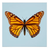 Monarch Butterfly Poster (Vorderseite)