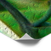 Monarch Butterfly Poster (Ecke)