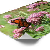 Monarch Butterfly-Poster Poster (Ecke)