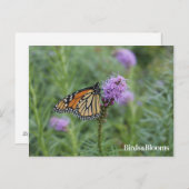 Monarch Butterfly Postkarte (Vorne/Hinten)