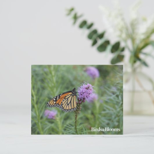 Monarch Butterfly Postkarte (Stehend Vorderseite)