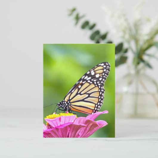 Monarch Butterfly Postkarte (Stehend Vorderseite)