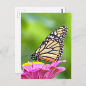 Monarch Butterfly Postkarte (Vorne/Hinten)