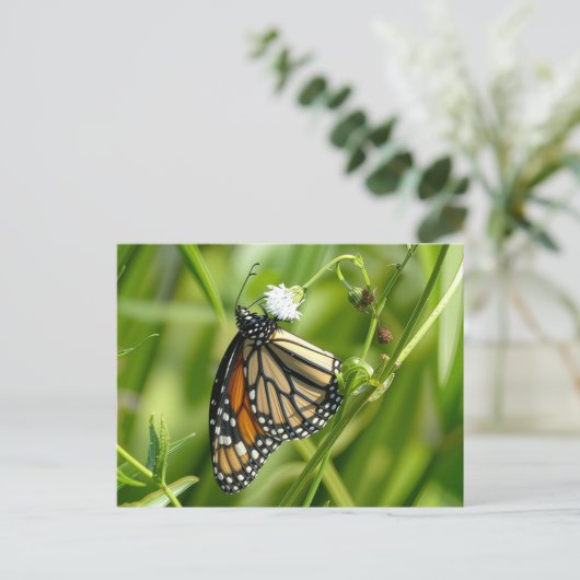 Monarch Butterfly - Postkarte (Stehend Vorderseite)