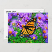 Monarch Butterfly Postkarte (Vorne/Hinten)