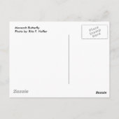 Monarch Butterfly Postkarte (Rückseite)