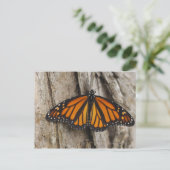 Monarch Butterfly Postkarte (Stehend Vorderseite)
