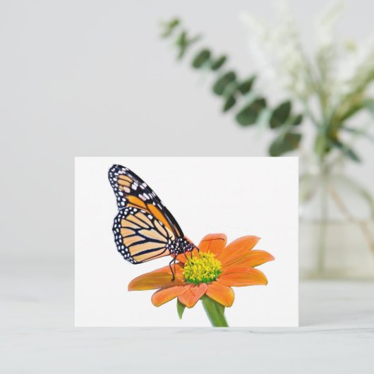 Monarch Butterfly Postkarte (Stehend Vorderseite)