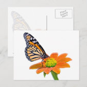 Monarch Butterfly Postkarte (Vorne/Hinten)