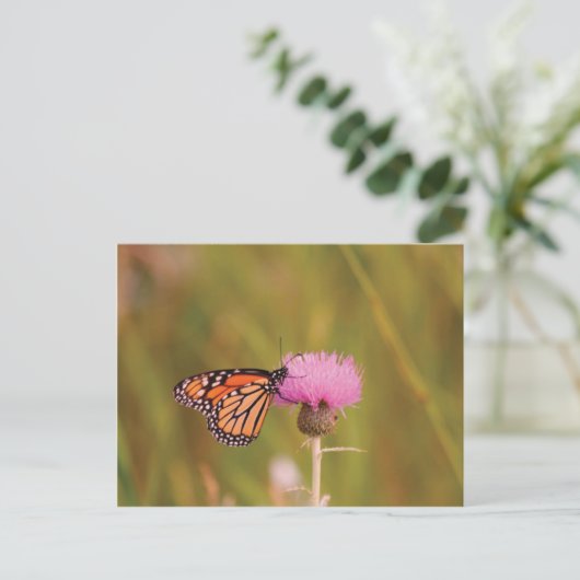 Monarch Butterfly Postkarte (Stehend Vorderseite)