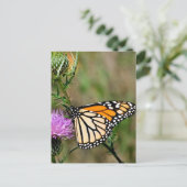 Monarch Butterfly Postkarte (Stehend Vorderseite)