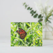 Monarch Butterfly Postkarte (Stehend Vorderseite)