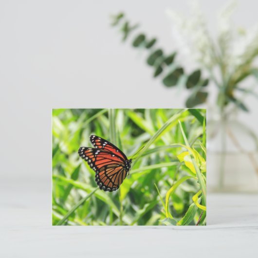 Monarch Butterfly Postkarte (Stehend Vorderseite)