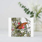 Monarch Butterfly Postkarte (Stehend Vorderseite)