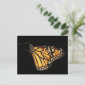 Monarch Butterfly Postkarte (Stehend Vorderseite)
