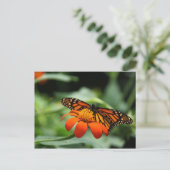 Monarch Butterfly Postkarte (Stehend Vorderseite)