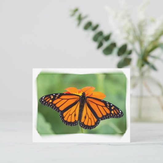 Monarch Butterfly Postkarte (Stehend Vorderseite)