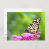 Monarch Butterfly Postkarte (Vorne/Hinten)
