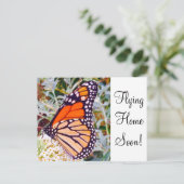 Monarch Butterfly Postkarte (Stehend Vorderseite)