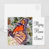 Monarch Butterfly Postkarte (Vorne/Hinten)