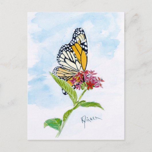 Monarch Butterfly Postkarte (Vorderseite)