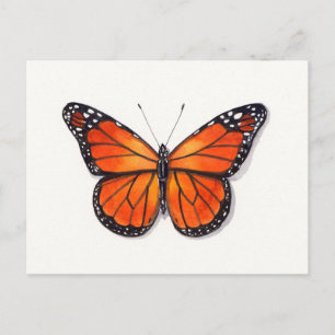 Monarch Butterfly Postkarte