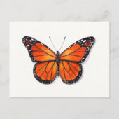 Monarch Butterfly Postkarte (Vorderseite)
