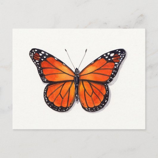 Monarch Butterfly Postkarte (Vorderseite)