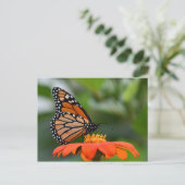 Monarch Butterfly Postkarte (Stehend Vorderseite)