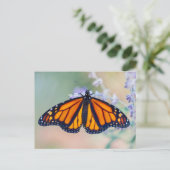 Monarch Butterfly Postkarte (Stehend Vorderseite)