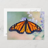 Monarch Butterfly Postkarte (Vorne/Hinten)