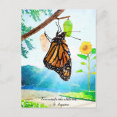 Monarch Butterfly Postkarte (Vorderseite)