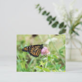 Monarch Butterfly Postkarte (Stehend Vorderseite)