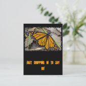 Monarch Butterfly Postkarte (Stehend Vorderseite)