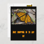 Monarch Butterfly Postkarte (Vorne/Hinten)