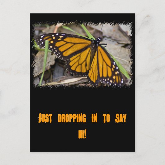 Monarch Butterfly Postkarte (Vorderseite)