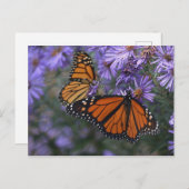 Monarch Butterfly Postkarte (Vorne/Hinten)