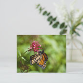 Monarch Butterfly Postkarte (Stehend Vorderseite)