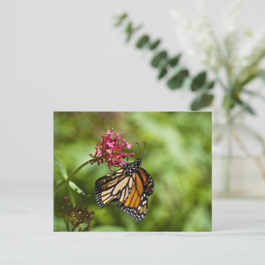 Monarch Butterfly Postkarte (Stehend Vorderseite)