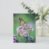 Monarch Butterfly Postkarte (Stehend Vorderseite)