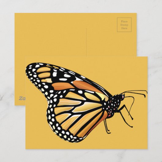 Monarch Butterfly Postkarte (Vorne/Hinten)