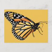 Monarch Butterfly Postkarte (Vorderseite)